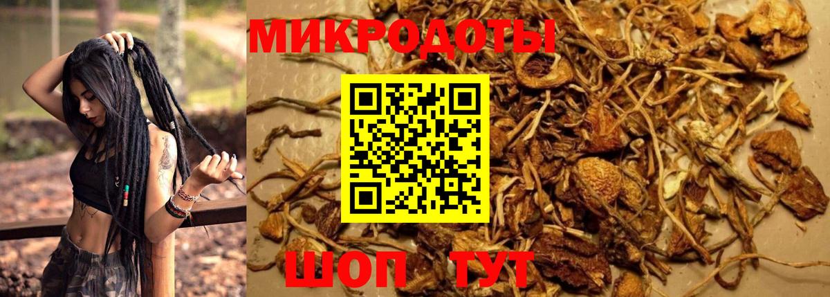 Комсомольск-на-Амуре  Псилоцибиновые грибы GOLDEN TEACHER  купить наркотик  Вход с VPN 